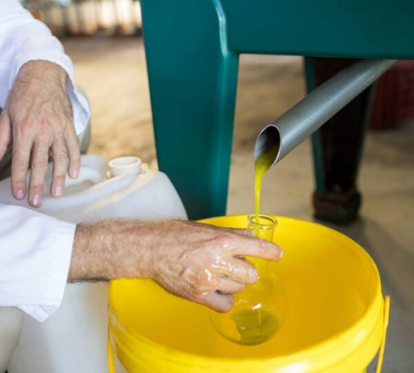 Karamanos Photography