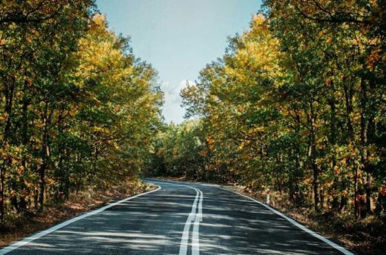 Μονοήμερες εκδρομές στη Ναυπακτία