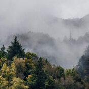 Top 5 δραστηριότητες στη Ναύπακτο