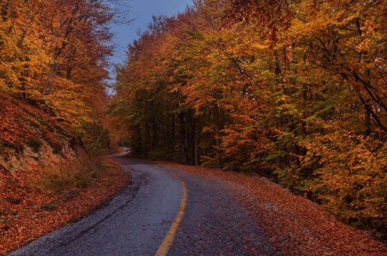 Ορεινή Ναυπακτία: Οι καλύτερες εκδρομές και χωριά