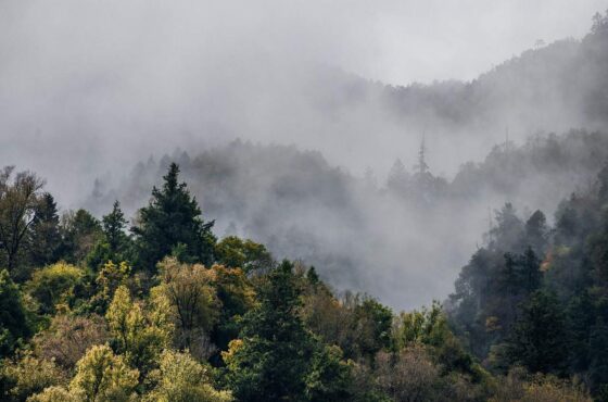 Top 5 δραστηριότητες στη Ναύπακτο