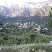 Αμπελακιώτισσα Ναυπακτίας: Ένα ιστορικό χωριό με πλούσια παράδοση
